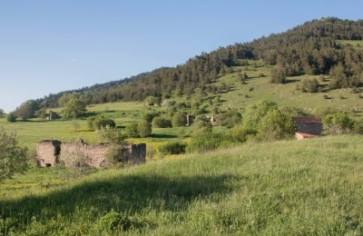 გოსტიბე