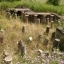 Town ruins of Dzalisi