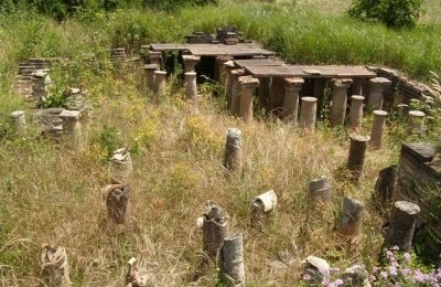 Town ruins of Dzalisi