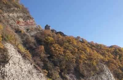 ყელის ციხე