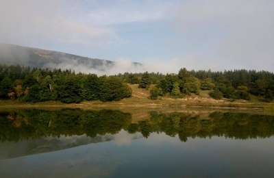 თრიალა