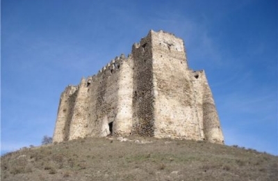Mirmanoz Eristavi's Castle and Palace